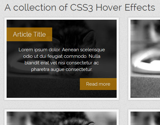 CSS3 Hover Effects